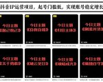 抖音IP运营项目，抖音今日主题玩法，起号门槛低，实现账号稳定增长