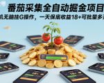 番茄采集全自动掘金项目，手机无脑挂G操作，一天保底收益18+可批量多开【揭秘】