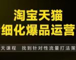 淘宝天猫精细化爆品运营（9月12-14杭州线下课），全方位拆解爆品打造逻辑【音频+字幕+文档】