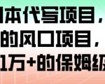 AI+剧本代写项目，细分领域的风口项目，实测月入1W+的保姆级教程