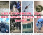 抖音某大V万物科普解说课程，可进抖音精选，独家内容，超干货教学，助你涨粉又賺钱