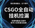 【稳定副业】全球最热门游戏CSGO全自动捡漏，最新玩法，新手小白日入5张+【揭秘】