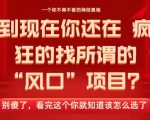 马上26年了，你还在找所谓的风口项目？别傻了，看完这个你全都懂了！【揭秘】