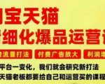 淘宝天猫精细化爆品运营课，免费流量打法-付费广告放大-利润增长-三大核心痛点，一次全部解决