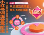 小红书训练营高阶班，从流量到变现的增长飞轮系统课