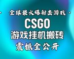 【年底大揭秘】基于全球最火爆的射击CSGO游戏挂G搬砖，日入5张+，震撼公开