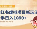 小红书虚拟项目变现课：抓住平台规则调整机遇