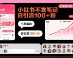 引流系列课14：小红书不发笔记日引流100+粉