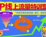 IP线上流量特训营，手把手教你搞流量、做IP、稳变现