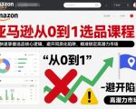 亚马逊从0到1选品课程，快速掌握选品核心逻辑，避开同质化陷阱，精准锁定高潜力市场