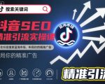 抖音SEO精准引流实操课，抓住抖音搜索蓝海市场，布局你的精准广告