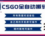 CSGO全自动搬砖，年底钱回家好项目，当天可拿到结果，新手小白轻松月入1W+【揭秘】