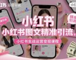 小红书图文精准引流，小红书实战运营变现课程