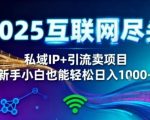 2025网创尽头王炸项目！私域IP+精准引流，新手小白在家躺賺日入1k，零经验也能上手【揭秘】