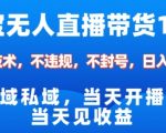 淘宝无人直播12.0，公域私域技术，不封号，不违规布局双十一流量风口，日入1k（独家技术）【揭秘】