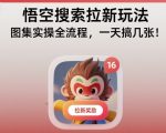 悟空搜索拉新玩法，图集实操全流程，一天搞几张