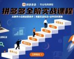 拼多多全阶实战课程，从新手小白到运营高手，海量实战玩法+全年实时更新【2025年10月更新】