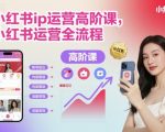 小红书ip运营高阶课，小红书运营全流程