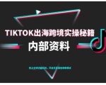 TikTok跨境电商0-1搭建运营，TK出海跨境实操秘籍（10月更新）