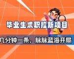 毕业生求职项目拆解_脉脉拉新空白市场，蓝海开局