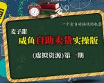 麦子甜咸鱼自助卖货实操版（虚拟资源）一个会自动搞钱的机器