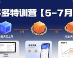 多多特训营，产品决定上限，方法决定下限，各种玩法技巧落地实操（更新）