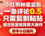 小红书种草豆包，一条评论0.5，只需复制粘贴，适合批量矩阵放大操作，新手小白福利