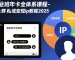 商业班年卡全体系课程-社群私域变现ip教程2025