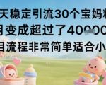 每天稳定引流30个宝妈粉当月变成超过了1W+项目流程非常简单适合小白