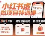 小红书虚拟项目特训课，帮你从0到1打造稳定盈利的店铺，抓住流量红利（更新9月）