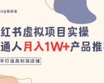 小红书虚拟项目实操指南，普通人月入1W+产品推荐，直接抄