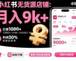 小红书无货源店铺项目，简单易上手，月入9k+，保姆级教程