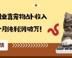 从兴趣到副业靠宠物占卜收入翻3倍一个月纯利润破W