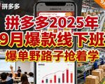 拼多多2025年9月爆款线下班，爆单野路子抢着学