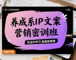 养成系IP文案营销密训班，实战中学习真高级营销