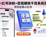 小红书涨粉+变现硬核干货系统课，带你逆袭小红书