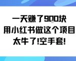 一天挣了9张用小红书做这个项目太牛了，空手套