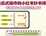 傻瓜式操作的小红书抄书项目，会复制粘贴就行，零基础小白也能一天3张