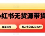 小红书无货源带货项目，简单无脑，新人小白日入多张