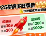 2025拼多多旺季新老店铺——快速低成本起量破千单