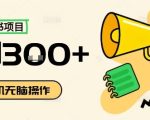 小红书抄书项目，无脑操作，一天3张