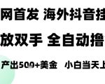 海外抖音无人直播，单日产出1.5k+，长期稳定，新手可玩，无脑操作【揭秘】