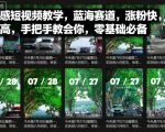 情感短视频教学，蓝海赛道，涨粉快，收益高，手把手教会你，零基础必备