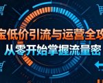 淘宝低价引流与运营全攻略，从零开始掌握流量密码