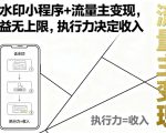 去水印小程序+流量主变现，收益无上限，执行力决定收入