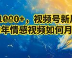 7天收益1k+，视频号新风口：中老年情感视频如何月入过W?