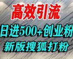 怎么打创业粉？搜狐网打精准创业粉，打粉引流教程，单人日引500+精准创业粉