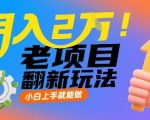 月入2W！老项目翻新玩法，小白上手就能做，非常容易上手