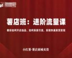 小红薯薯店商城卖货，进阶流量课，教你如何开店选品、如何系统引流，实现快速卖货变现