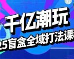 2025盲盒全域全套打法课，盲盒起号、选品、话术、私域等